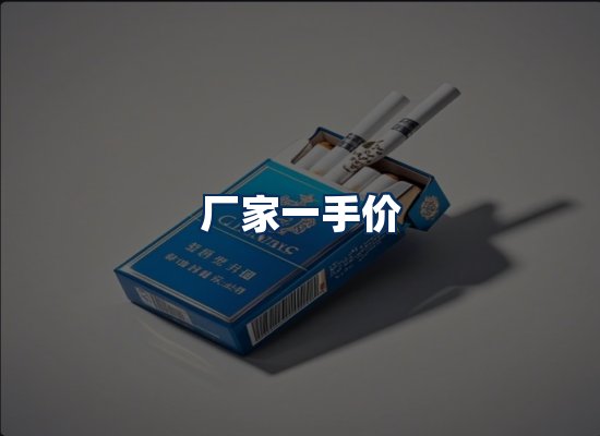 专业团队办公环境